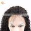 Human Hair Lace Front Wig Brazilian Remy Hair Lace Wigs Pre Plucked 18 Inches