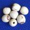 Lotus Seed Lotus Nut Lotus Kernel Dried Handmade White Lotus Seed Without Core Plumule