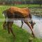 Rusty corten / weathering steel kinetic aculpture and statues outdoor