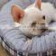 Design Sofa Kennel Doggy Warm Winter Cot Dog Beds Mats