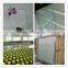 Solid Structure and Flat Shape clear float glass