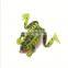 Amazon 2021 New 6.5cm 17.2g Fishing Frog Lure Fishing Tackles