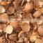 Wholesale Natural Coconut Shell Best Price/ Coconut Shell Raw