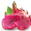 Natural Fresh Dragon Fruit/ Fresh Pitaya From Vietnam