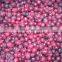 Red cranberry IQF Frozen Cranberry