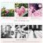 brightening whitening Damascus pure bulk private label organic hydrosols spray rose water