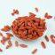 dried fruit goji berry