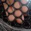 Black Plastic Mesh Fencing Farm Breeding Plastic Flat Net Greenhouse Breeding For Chicken Cage