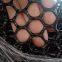 Plastic Wire Mesh Green Plastic Net Fencing Greenhouse Breeding Plastic Mesh Fencing