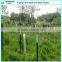 1.25lbs studded waterproof pvc coated waterproof t post for fixing plants