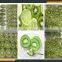 Leader kiwi fruit pitted peeler slicer with CE&ISO