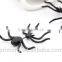 New fashion jewelry cool black Spider stud pierced earring holder