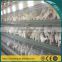 Guangzhou factory poultry chicken cage/chicken egg layer cage/kenya chicken cage