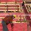 China red laminated poplar plywood and timber wood prices