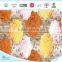 Cotton Downproof Printed Fabric for Textiles/Bedding