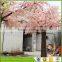 all-kind of artificial cherry blossom tree for decoration