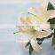 Wholesale High Quality Lilium Flower For Wedding