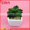Artificial small bonsai, plastic emulation potted plants for home decoration