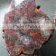 Arizona petrified wood side table