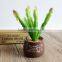 High Quanlity Succulent Plants For Decoration Artificial Plants Succulents Wholesale
