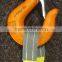 More useful polyester lifing tools 2ton lifting belts