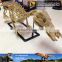 MY Dino-C057 High quality animal skeleton model for sale