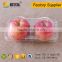 Thermoformed plastic 2 apple fruit box