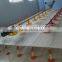 Best Price Plastic Slat Floor for Poultry Farms