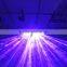 Double Rose and Rose Laser Show