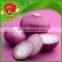 lowest price red onion fresh yellow onion