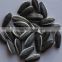 chinese super 5009 sunflower seed