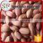 Importer buy raw peanut kernel