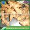 Good price dried ginger