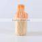 2016 NEW product plastic bottle packed toothpick in bulk