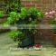 cheap vertical flower pouch with many holes garden baggrow bag holes bottom plant bag