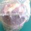 VE fuel pump rotor head 4CYL 7123-344U