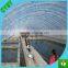 agriculture greenhouse cover 100% new material nursery clear plastic greenhouse film made in China