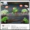 black non woven weed mat used for Destroying the weeds