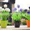 Wholesale plastic flower pots /garden creative pot / plastic flower pot decoration