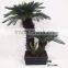Artificial outdoor and indoor cycas for decoration