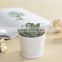 Indoor mini ceramic decor white plant pot