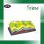 Classroom Teaching Geography Educational Model