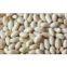 Blanched peanut kernels