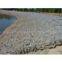 Gabion Mats