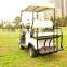 AX-D2-G(S-16) electric Golf Buggy with aluminium alloy chassis with CE certificate