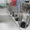automatic small plastic jelly cup filling sealing machine