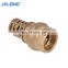 Brass Female Forged  Check Foot Valve of New Design Global Valve