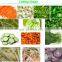 Multi-functional Automatic Commercial Vegetable Broccoli Cutting Machine