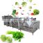 LONKIA industrial fresh fruit leaf root vegetable cleaning machine Automatic Fruit Vegetable Washing Line