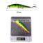 10cm 8.4g 10 colors 3D Bionic eyes Saltwater Fish Baits with Treble Hooks  Quivering Minnow Bait Fishing